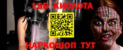 прущие грибы Будённовск