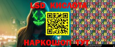 прущие грибы Будённовск