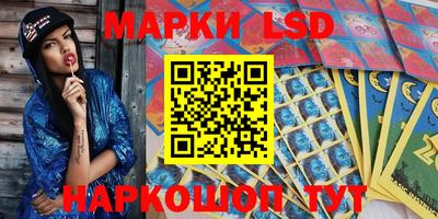 прущие грибы Будённовск