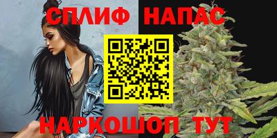 прущие грибы Будённовск