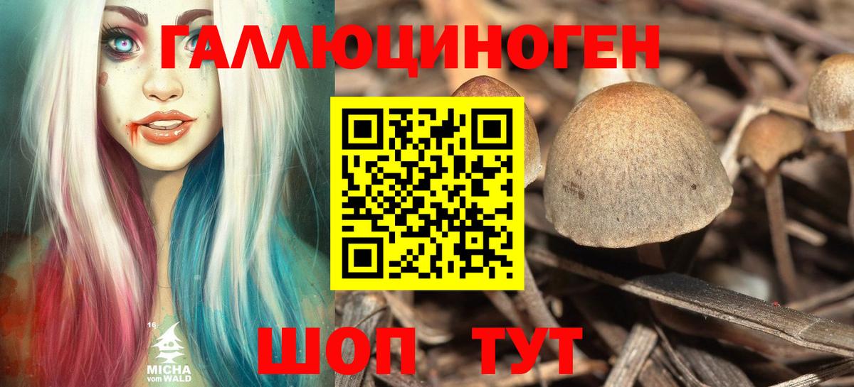 Галлюциногенные грибы Psilocybine cubensis  Вход с VPN  Партизанск 